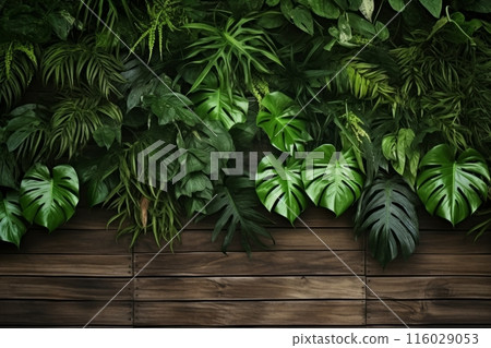 wood background, graced by the charm of Monstera wood background, graced by the charm of Monstera 116029053