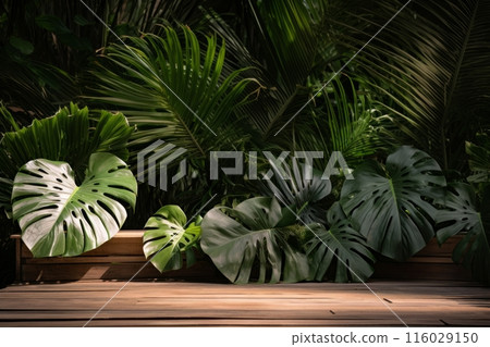 Wooden surface featuring lush Monstera leaves, tropical oasis, greenery-infused decor 116029150