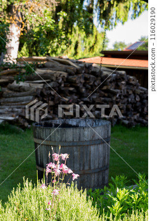 Old wood rain water barrel for watering the garden. old house and pile of firewood. Old wood rain water barrel for watering the garden. old house and pile of firewood. 116029190