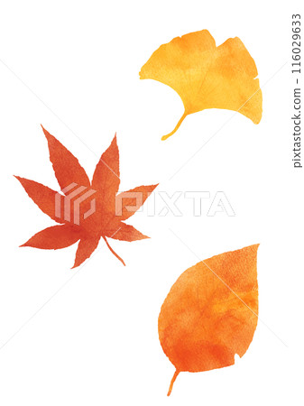 秋天的樹葉畫水彩的插圖 秋天的樹葉畫水彩的插圖 116029633