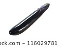 1 long eggplant, cut into pieces 116029781
