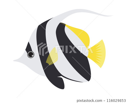 石斑魚的插圖 116029853