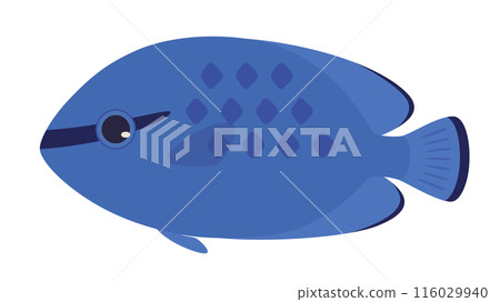 Illustration of blue damselfish 116029940