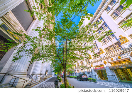 Tokyo cityscape in Japan: Nihonbashi, Tokyo. View of the cherry blossoms on Edo Sakura Street, Sumitomo Mitsui Banking Corporation, Mitsukoshi Department Store, etc. (June 5th) Tokyo cityscape in Japan: Nihonbashi, Tokyo. View of the cherry blossoms on Edo Sakura Street, Sumitomo Mitsui Banking Corporation, Mitsukoshi Department Store, etc. (June 5th) 116029947