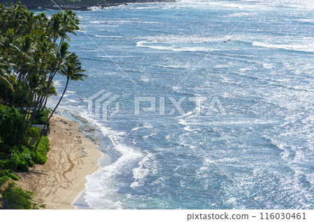 Beautiful beach with tall palm trees and vast expanse of water Beautiful beach with tall palm trees and vast expanse of water 116030461