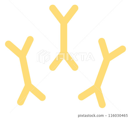 Antibody illustration 116030465