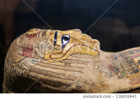 mask of ancient Egyptian mummy in a museum showcase on a dark background 116030641