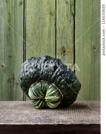Marina Di Chioggia Squash On the Table Marina Di Chioggia Squash On the Table 116030689