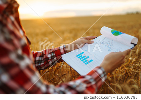 Close-up of farmer watching some charts. Growth dynamics. Agricultural growth and farming concept. Close-up of farmer watching some charts. Growth dynamics. Agricultural growth and farming concept. 116030783