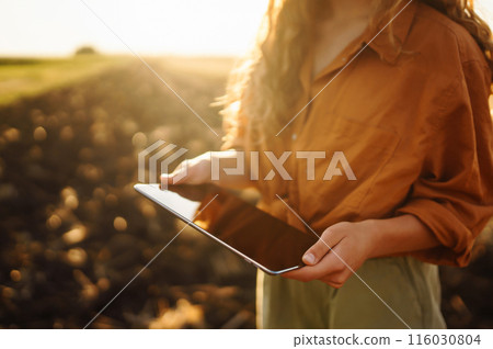 A woman agronomist checks the harvest. Smart farmer concept. A bountiful harvest A woman agronomist checks the harvest. Smart farmer concept. A bountiful harvest 116030804