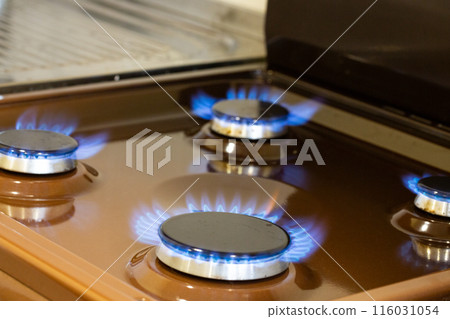 Close up shot of blue fire from domestic kitchen stove top. Gas cooker with burning flames of propane gas. Gas supply chain and news. Global gas crisis Close up shot of blue fire from domestic kitchen stove top. Gas cooker with burning flames of propane gas. Gas supply chain and news. Global gas crisis 116031054