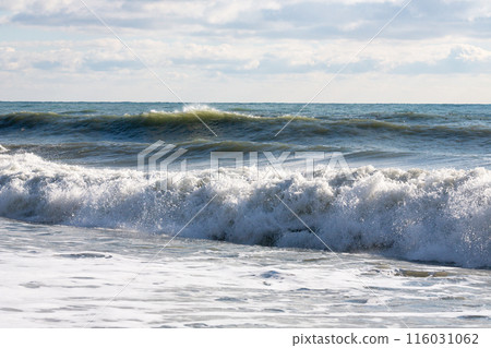 Stormy lwaves on the beach of Sochi, Russia, Black Sea 116031062