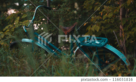 An old Soviet blue bicycle lies in the thick grass 116031816