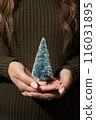 close up woman holding fir tree 116031895