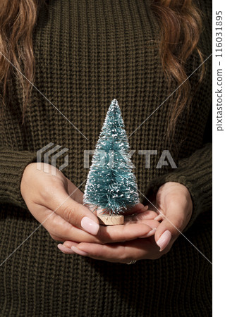 close up woman holding fir tree close up woman holding fir tree 116031895