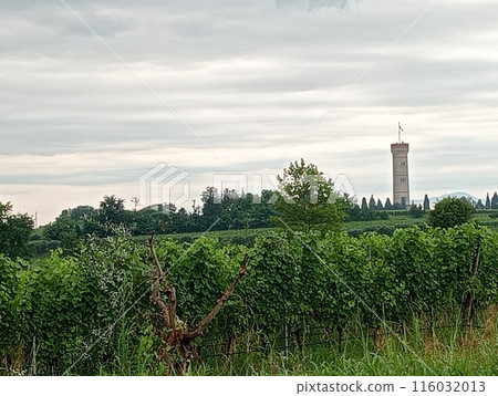 Famous Italian war of independence tower of San Martino and Solferino and view of vineyards in northern Italy Famous Italian war of independence tower of San Martino and Solferino and view of vineyards in northern Italy 116032013