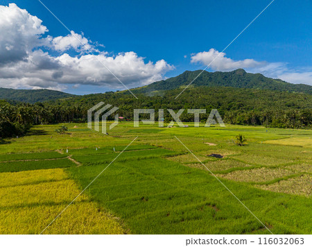 Farmland with rice fields in mountainside of Camiguin Island. Philippines. Farmland with rice fields in mountainside of Camiguin Island. Philippines. 116032063