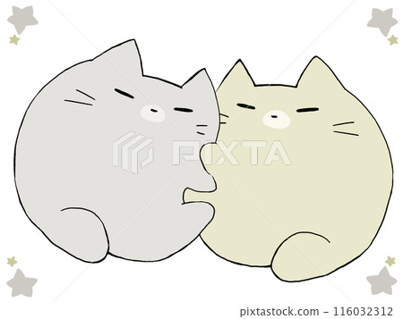 Gemini Cat 116032312