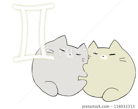 Gemini Cat Gemini Cat 116032313