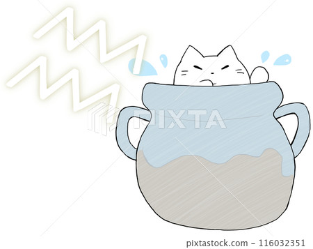 Aquarius Cat Aquarius Cat 116032351