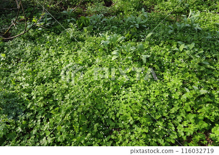 高原上的二林社區 116032719