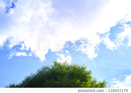 Blue sky and cloud image 116033179