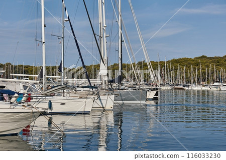 Sailing boats docked in the marina Sailing boats docked in the marina 116033230