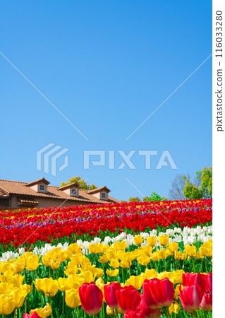 [Osaka Prefecture] April: Family trip to the tulip fields in full bloom 116033280