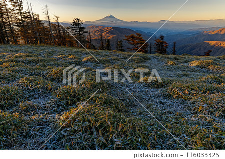 從奧秩父幹線高麗山眺望日出時的富士山 從奧秩父幹線高麗山眺望日出時的富士山 116033325