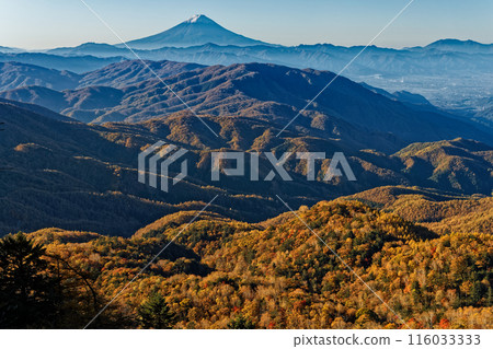 Mt. Fuji in the morning as seen from the Okuchichibu Trail near Mt. Koreyama 116033333