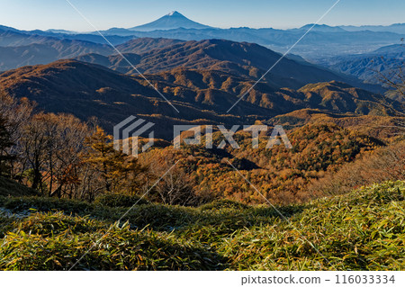 Mt. Fuji in the morning as seen from the Okuchichibu Trail near Mt. Koreyama 116033334