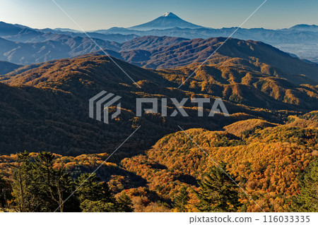 Mt. Fuji in the morning as seen from the Okuchichibu Trail near Mt. Koreyama 116033335