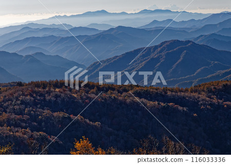 從奧秩父橫貫線/高麗山看到的丹澤山脈在晨霧中漂浮 從奧秩父橫貫線/高麗山看到的丹澤山脈在晨霧中漂浮 116033336