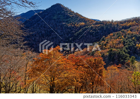 Autumn leaves at Karatoge Pass and Mt. Kasatori on the Okuchichibu Trail 116033343