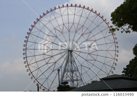 藍天、白雲和大型摩天輪的公園風景 藍天、白雲和大型摩天輪的公園風景 116033490
