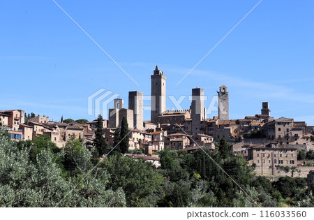 Forest of medieval towers, San Gimignano, World Heritage Site, Italy, Europe Forest of medieval towers, San Gimignano, World Heritage Site, Italy, Europe 116033560