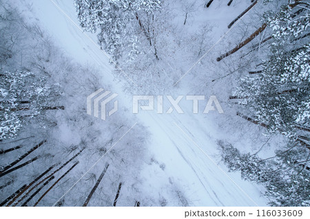Pine and fir trees forest covered in snow. Aerial landscape from drone view. Christmas is coming. Cold frosty winter season nature background. View from above 116033609