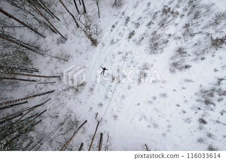 Man lying down making snow angel, top view. Outdoor activities and ecological tourism. Natural winter season background. Aerial view of pine spruce tree covered snow Man lying down making snow angel, top view. Outdoor activities and ecological tourism. Natural winter season background. Aerial view of pine spruce tree covered snow 116033614