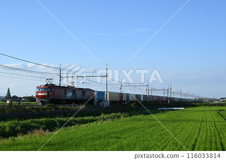 穿越鄉村的貨運列車 116033814