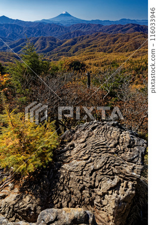 View of the autumn foliage of the mountain ranges and Mt. Fuji from Mt. Kasatori in Okuchichibu View of the autumn foliage of the mountain ranges and Mt. Fuji from Mt. Kasatori in Okuchichibu 116033946