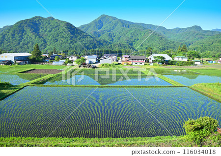 A rural landscape lit up by greenery, along National Route 17 A rural landscape lit up by greenery, along National Route 17 116034018