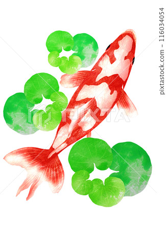 金魚和水草躲在水草裡休息的插圖 116034054