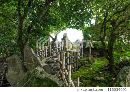 靜謐的日本庭園風景,踏腳石通往展望台 靜謐的日本庭園風景,踏腳石通往展望台 116034091
