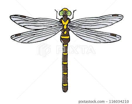 無霸勾蜓 116034210