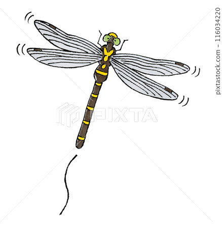 飛Onyangma 116034220