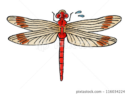 Troubled Red Dragonfly 116034224