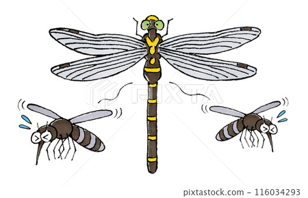Mosquitoes dislike giant dragonflies 116034293