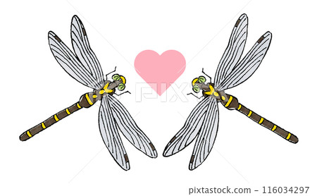 A couple of Oni-Dragonflies A couple of Oni-Dragonflies 116034297
