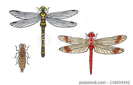 蜻蜓套裝(onyanma、紅蜻蜓、蜻蜓) 蜻蜓套裝(onyanma、紅蜻蜓、蜻蜓) 116034302