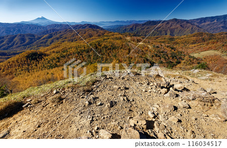 View of the autumn foliage of the mountains, Mt. Fuji, and the Southern Alps from the summit of Mt. Kasatori View of the autumn foliage of the mountains, Mt. Fuji, and the Southern Alps from the summit of Mt. Kasatori 116034517
